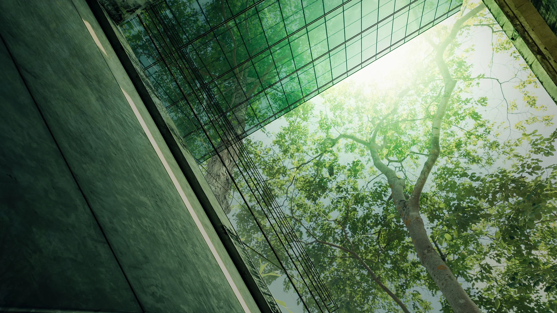 Blick von unten auf ein modernes Glasgebäude mit Spiegelung eines Baumes – Symbol für nachhaltige Architektur, Energieeffizienz und ressourcenschonende Bauplanung bei ai Consult GmbH.